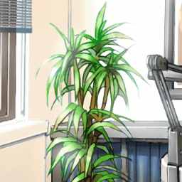 I'm a houseplant. Interests include biology, art, law and French Philosophy.