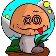 RomixRoman's profile picture. Youtuber
Bloguer
memero xD

síganme