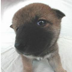 215232082's profile picture. 