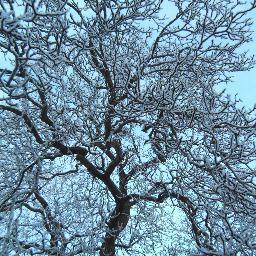 snazzyoriginal's profile picture. Addicted to stamps and everything inky for over 25 years. I teach workshops, make samples for displays and demo at shows throughout the UK.