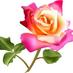 فهد (@fahibmo) Twitter profile photo