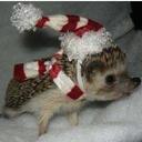 Эдгар - @Edgar_Real_M - Twitter