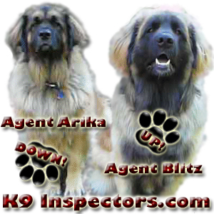 K9Inspectors's profile picture. Arika & Blitz are Leonbergers. They inspect food and toys to make sure they are quality.