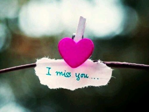 One directioner!!!! One direction is my life!!! I love them soooooooooooooo much!!!!!!!! Follow me and i will follow you back! And follow her @Mandycakess7