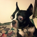 Barry Keim  - @keim_barry - Twitter