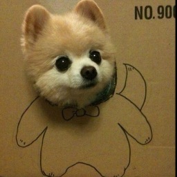 _Tyler_Webb__'s profile picture. Don't I look just like my profile picture?!?!?!