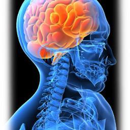 Clinical Neuroscientist, TMS,neural insults,mechanism recovery for CTE & mental health racidivist behav
Data scientist and analyst
Dig market eComm, affil con