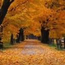 عمر صبرة (@1979Sabra) Twitter