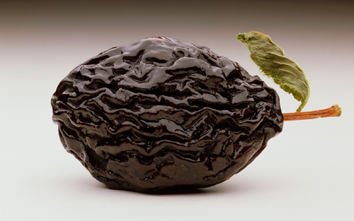 prunesmaloon's profile picture. I love Prunes Ma loon.

P.S luv u all xxxxxxxxx