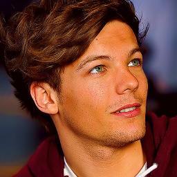 Take Me Home Louis! Directioner 4 Life! #1D