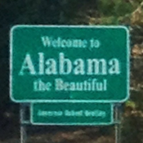 crmtdeno1's profile picture. 