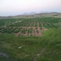 🌹❤️ ذكرياتي ❤️🌹 (@mohamd216) 's Twitter Profile