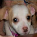 Caroline Clemmons - @Dgstrkngrlfrnd - Twitter