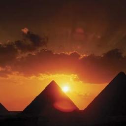 lialuv714's profile picture. I am an Elected Title 1 PAC leader dealing with NCLB and QPCAS we work with families whose rights have been violated Human rights Civil and academic