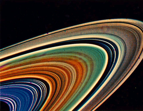 Saturns__Rings's profile picture. 