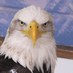 True Cpfc Fans (@truecpfcfans) Twitter profile photo