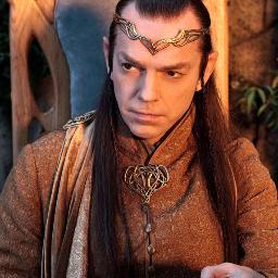 Elrond, brother to Elros. I fought in many battles and won them all. But this peace is what I crave. [RP 21+ - Multiverse ]