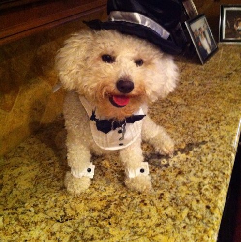 SuitsUsam's profile picture. 