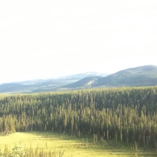 konalyamda's profile picture. 