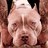 IsaiaArcolini91's profile image