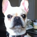 Rob Morin - @rmorin115 - Twitter