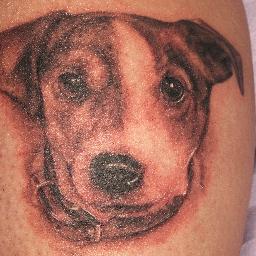 ms_poe's profile picture. I work as a nurse, interests includes going to concerts, reading, gym and my dogs.