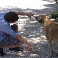 Texas Matt (@4emski) 's Twitter Profile