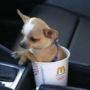 nancy holguin - @nancimous - Twitter