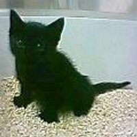 90%オフ・ニュース (@like90off) 's Twitter Profile