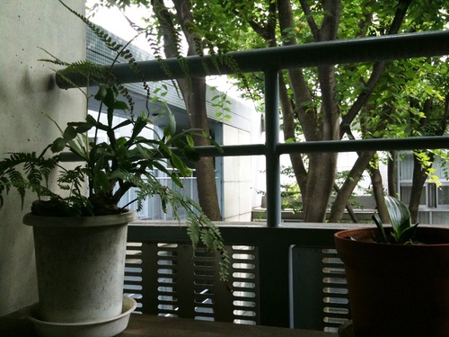 zengomi's profile picture. 