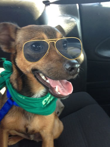 jessica_angelx's profile picture. i love my dog mater!!!:)
i love ymcmb^^
hate sushi.