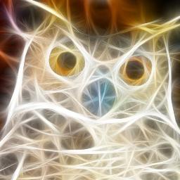 RobertoMonten13's profile picture. 