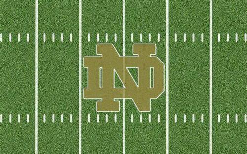 stummytime's profile picture. 