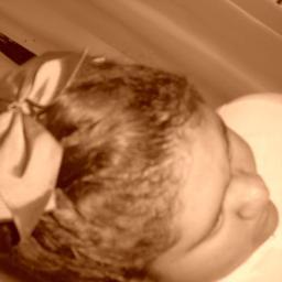 meza_dafne's profile picture. 