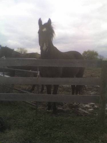 lesdonhoff's profile picture. 