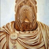 Brigante del Castellaccio (@israelromero13) 's Twitter Profile