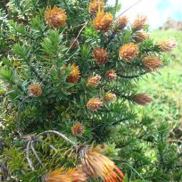 jazminterra's profile picture. Por querer saber, aprendí mucho más que lo que enseñan Licenciatura y Master. Bien ganado tengo el derecho de opinar sin depender del dueño de la imprenta