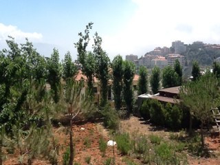 NadaADWC's profile picture. 