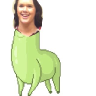 why u starin me llama
