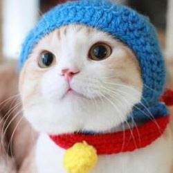 냥옹펀치