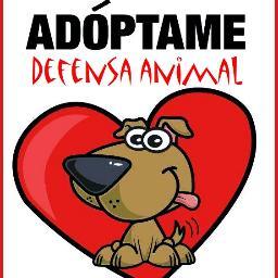 ''Quién distingue la sonrisa de un perro a dejado de ser animal.''
http://t.co/AqMfji2e