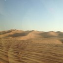 Lorraine Sinclair - @Bamberbeagle - Twitter