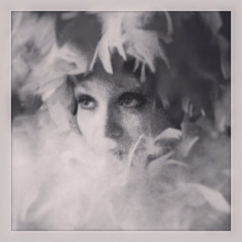 VolatileValerie's profile picture. always noticed, never claimed.  Oh well, time to invest in cat products and a nice front porch rocker. Senility and cats here i come!