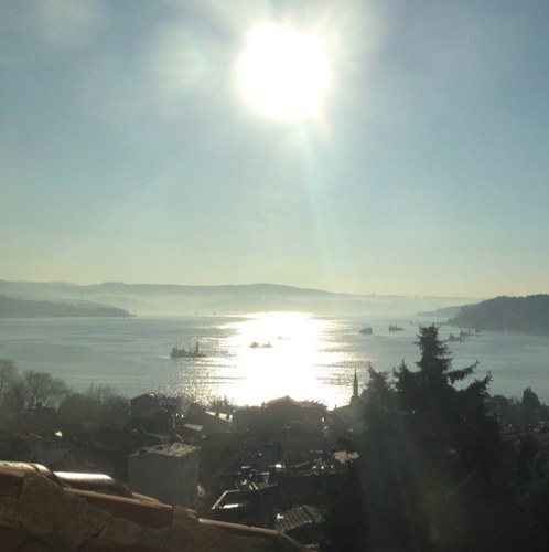 dgarslan's profile picture. 