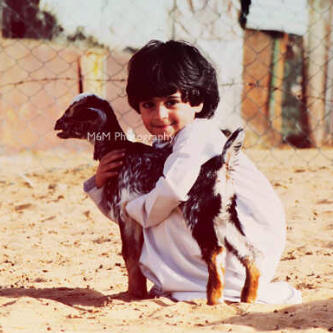 Ali_9111 Profile Picture