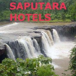 Saputara Hotels