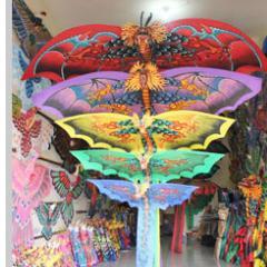 Traditional kites in various species of animals by hand painted,made of bamboo,foam and polyester.
