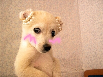 인피니트♥96,무멘언팔 작작좀^0^트치니들끼리 자동반모(초면반모x)