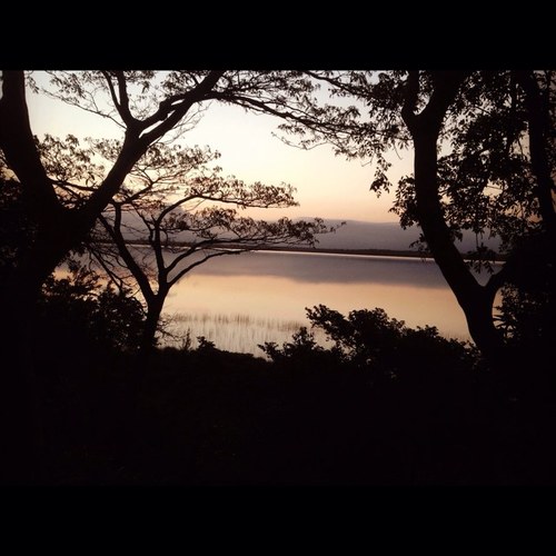 Hofmey's profile picture. 