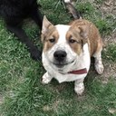 Connie Cole - @brightstargal - Twitter